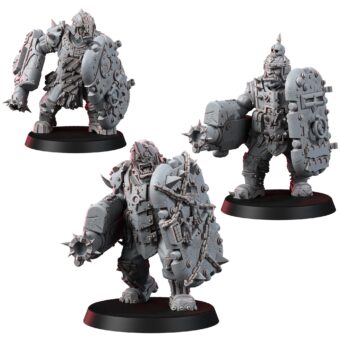 CHAOS RENEGADES OF PAIN BULLS